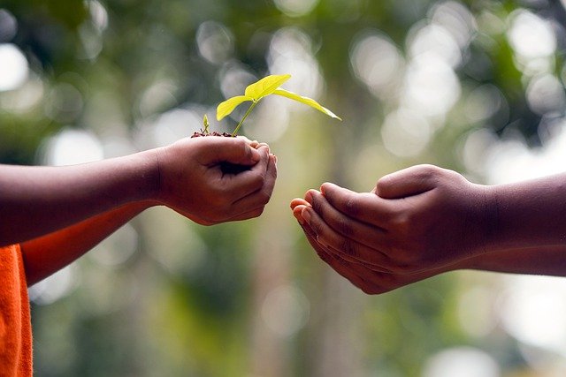 Sweta Sen, Helpful Suggestions About Arts And Crafts That Simple To Adhere To