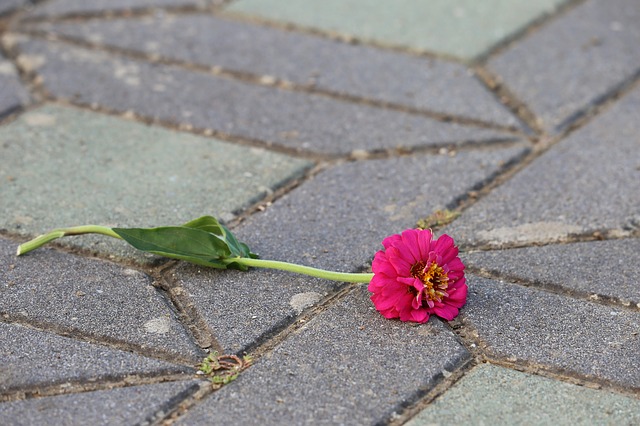 Sweta Sen, Adhere to This Great Article About Crafts And Arts That Will Help You