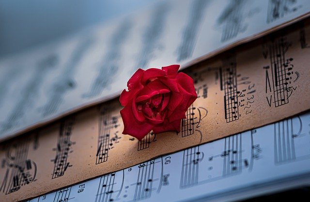 Sweta Sen, Sound Suggestions For Your Personal Arts And Crafts Assignments