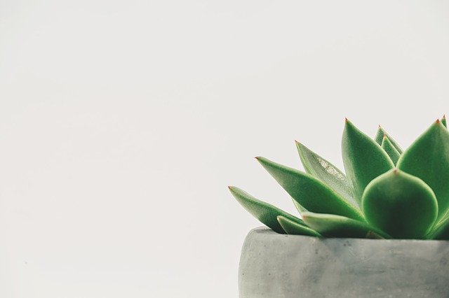 Sweta Sen, Simple Actions To Assist You Greater Comprehend Crafts And Arts