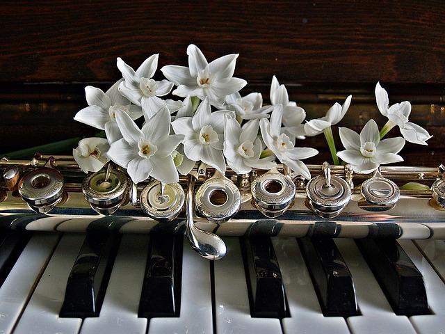 Sweta Sen, Good Sound Advice About Arts And Crafts That You Can Use